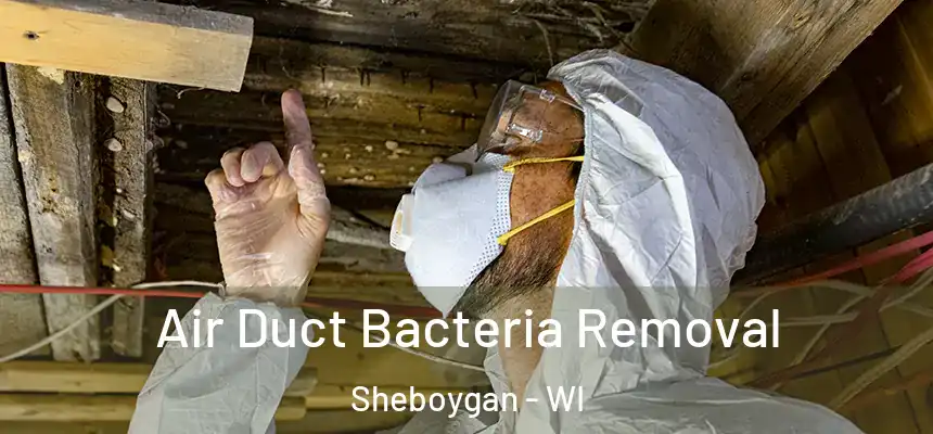  Air Duct Bacteria Removal Sheboygan - WI