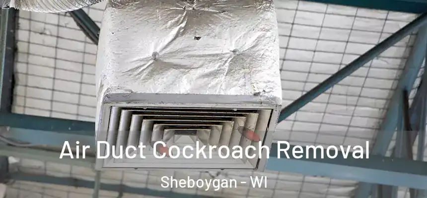 Air Duct Cockroach Removal Sheboygan - WI