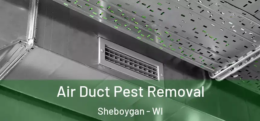 Air Duct Pest Removal Sheboygan - WI