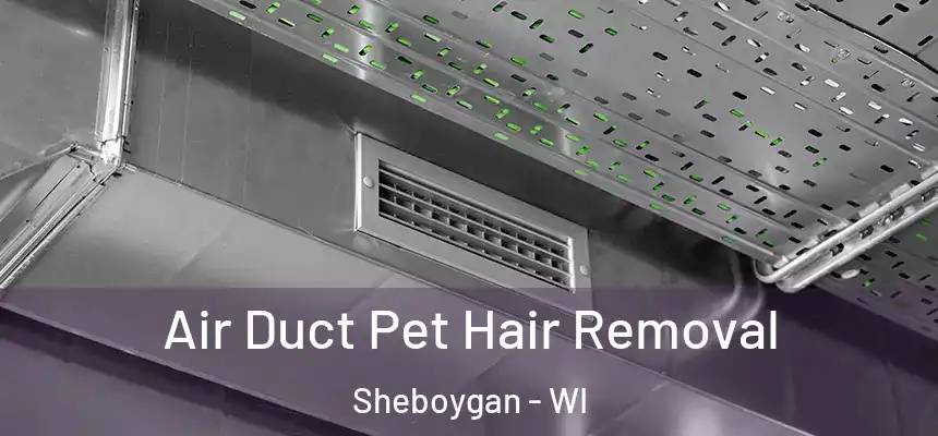 Air Duct Pet Hair Removal Sheboygan - WI