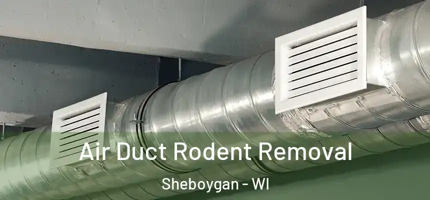Air Duct Rodent Removal Sheboygan - WI