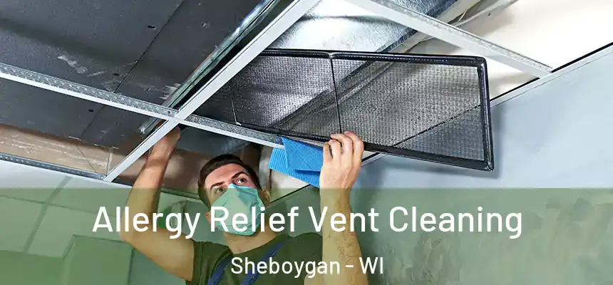 Allergy Relief Vent Cleaning Sheboygan - WI
