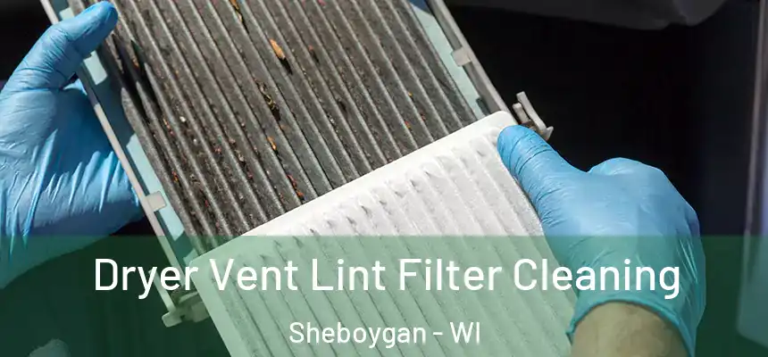 Dryer Vent Lint Filter Cleaning Sheboygan - WI