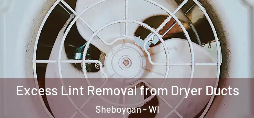 Excess Lint Removal from Dryer Ducts Sheboygan - WI