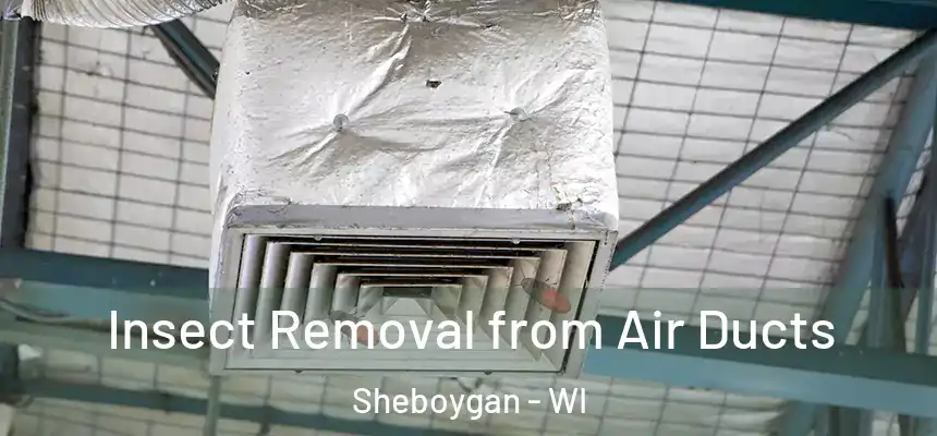 Insect Removal from Air Ducts Sheboygan - WI