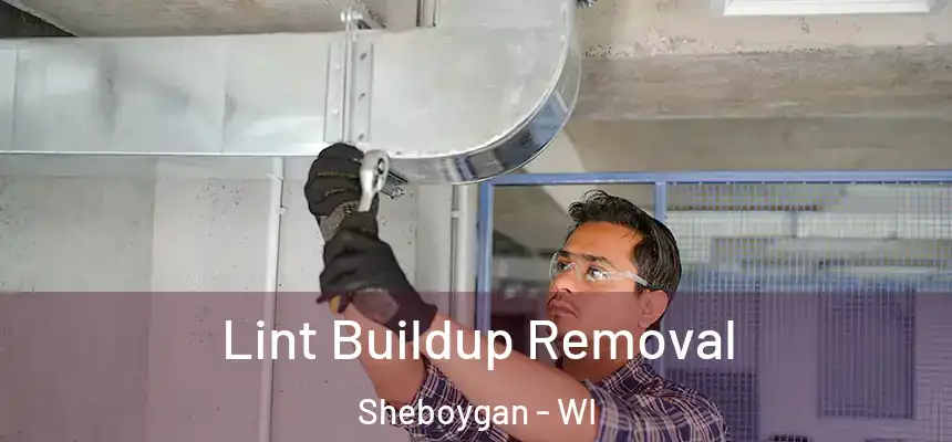 Lint Buildup Removal Sheboygan - WI