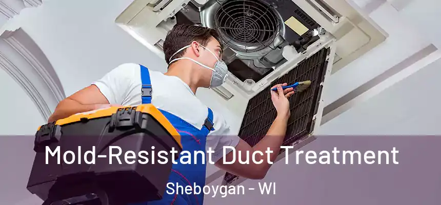  Mold-Resistant Duct Treatment Sheboygan - WI