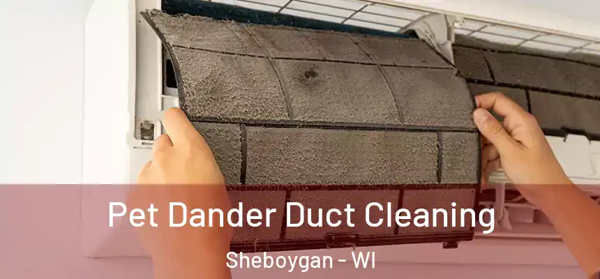 Pet Dander Duct Cleaning Sheboygan - WI