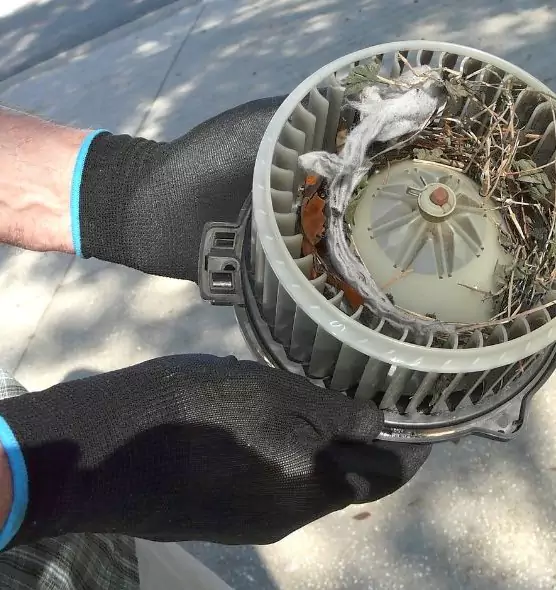 About Air Duct Rat Removal in Sheboygan, WI