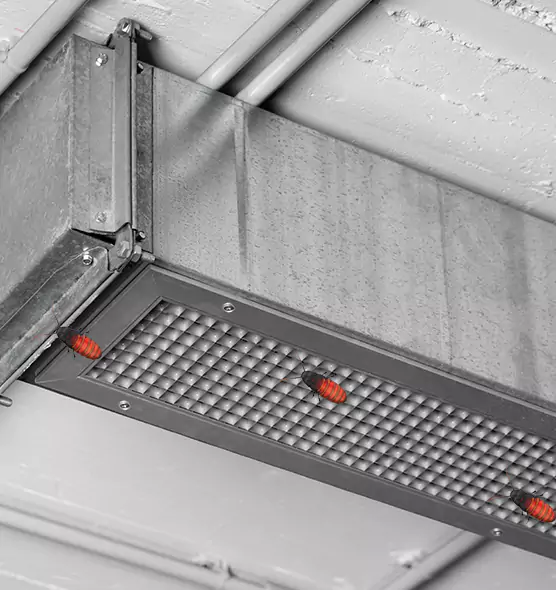 Affordable Insect Removal from Air Ducts in Sheboygan, WI