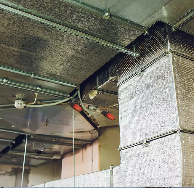 Why Homeowners & Businesses Trust Us in Sheboygan, WI?