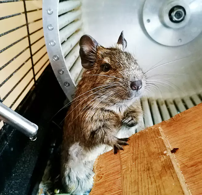 Why Homeowners & Businesses Trust Us Sheboygan, WI