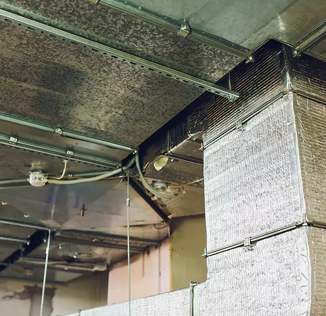 Why Homeowners & Businesses Trust Us in Sheboygan, WI?